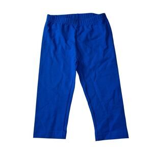 Hanna Andersson Blue Leggings 110